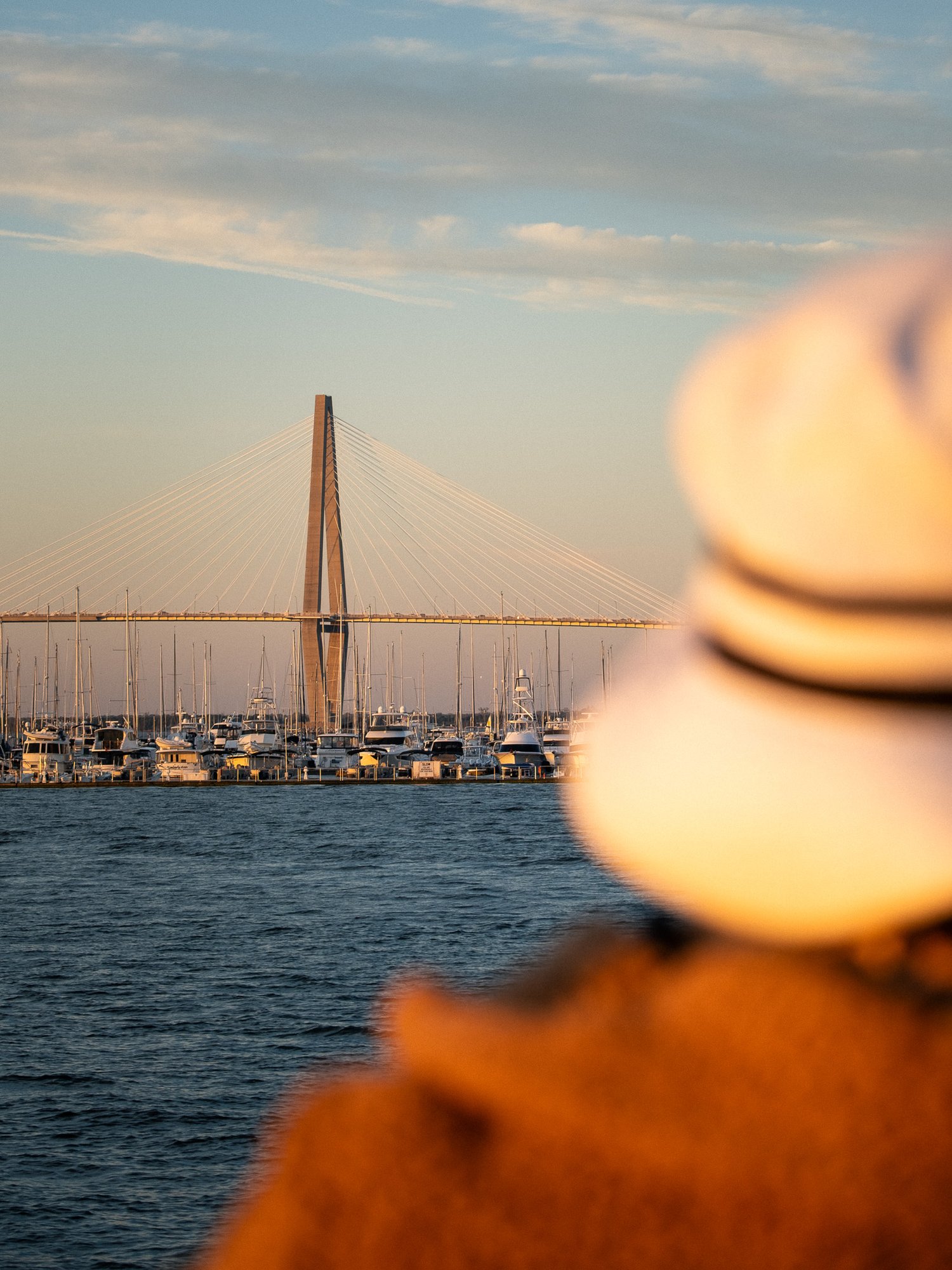 Women overlooking the Talmadge Memorial Bridge at sunset. Shot on Nov, 2024.