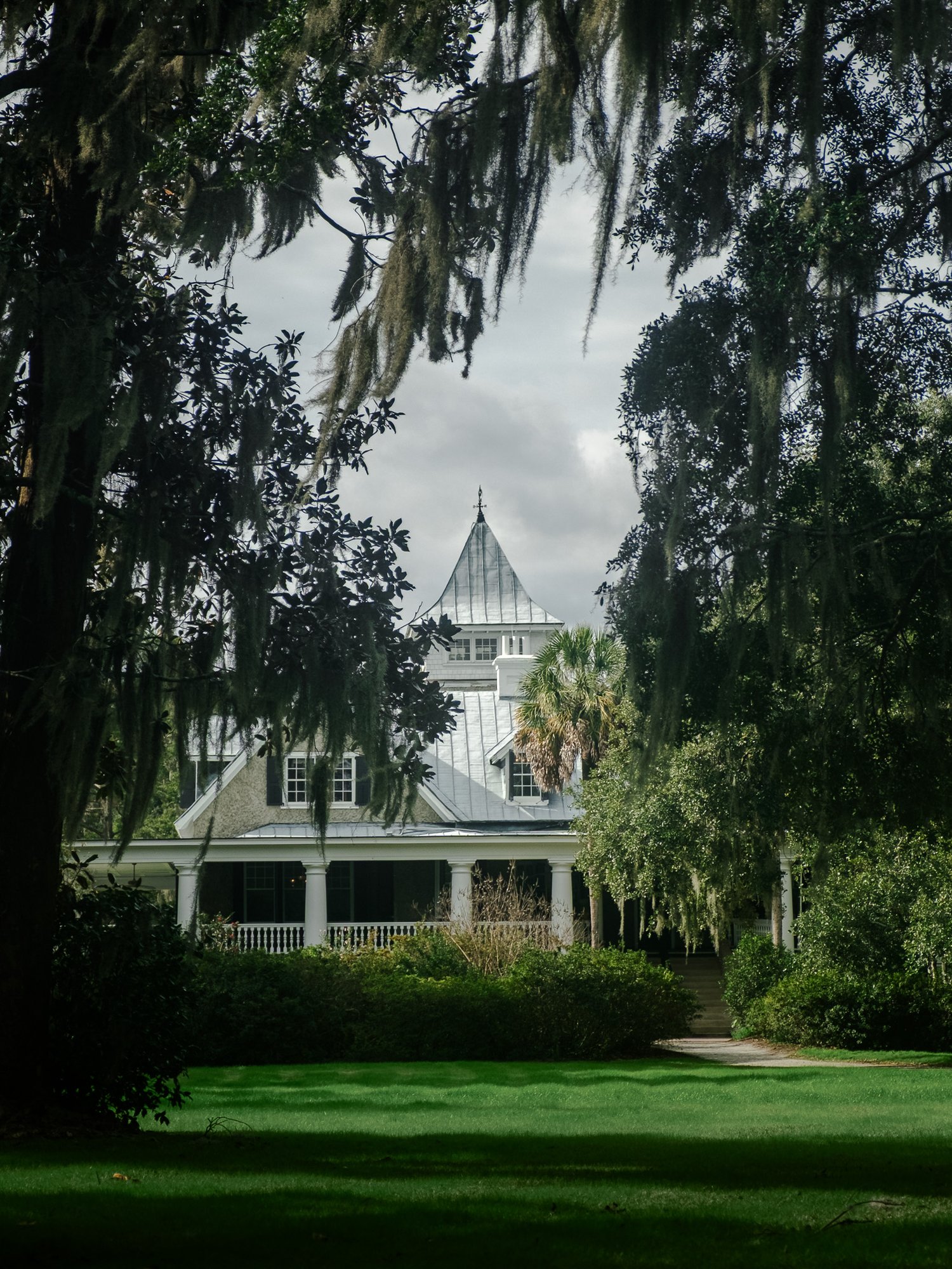 Magnolia Plantation and Gardens, Shot on Nov, 2024.